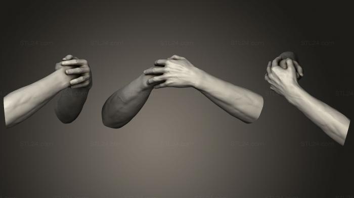 Анатомия скелеты и черепа (Мужские руки 326, ANTM_0837) 3D модель для ЧПУ станка